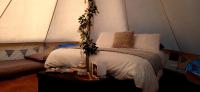Pop up Pembrokeshire - B&B
