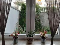 B&B Wroclaw - Apartament Di Trevi - klimatyzacja - Bed and Breakfast Wroclaw