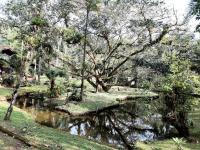 Magia e lazer - Chácara Lucinda - 12km do centro de Morretes - B&B Morretes