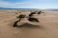 Apartament Rosa - B&B Sant Pere Pescador