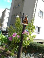 Apto em Campos do Jordão - B&B Campos do Jordão