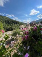 Mokra Gora Central Apartments - B&B