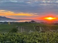 Apartmány u Pálavy - B&B Přítluky