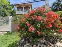 B&B Montego Bay - YanceyLargo- 4BR Villa Jacuzzi & Mountain Views - Bed and Breakfast Montego Bay