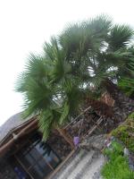 Casa De France - Chambres d’hôtes Porto Novo