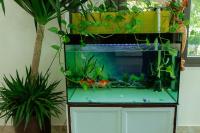 tam cốc relax homestay - B&B Ninh Bình