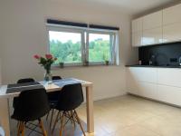 Apartament z klimatem II - Chambres d’hôtes Wisła