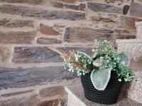 Casa da Muralha - B&B Vila Nova de Foz Côa