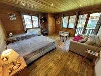 Appartement cosy aux Gets, idéal pour la famille, proche pistes et commerces - FR-1-598-104 - Ferienwohnung