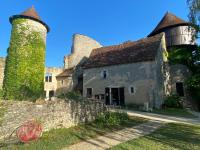 Chateau d'Ingrandes - B&B