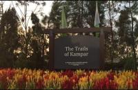 B&B Kampar - Home Feel-Hibiscus Suites - Bed and Breakfast Kampar