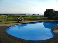 Camera King Standard