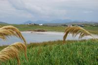 The Ocean Wave Bed & Breakfast - B&B Cleggan