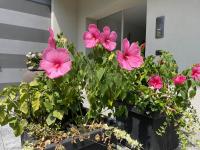 MY HUMBLE HOUSE - elegante appartamento con patio - B&B Oggiono