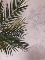 TURISMO EGADI - CHARME - Ferienwohnung Favignana