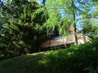 Chalet La Foux d Allos centre Station - B&B La Foux