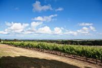 The Farm Willunga - Ferienwohnung