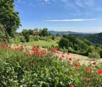 Grove Cottage: Immersed in nature & close to town - B&B Città della Pieve