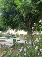 B&B Ad Dimnah - مزرعة النجم Najem farm - Bed and Breakfast Ad Dimnah