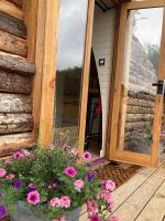 Delor - Bryntalch Glamping Pods - B&B Montgomery