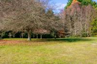 Lupin Lodge Bed & Breakfast - B&B Taupo