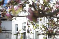Stunning pied-a-terre moments from the water. - B&B