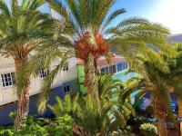 TEXEIDA´S HOME - Bed and Breakfast