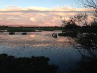 Isola della Cona - Riserva naturale Foce dell'Isonzo - Chambres d’hôtes Staranzano