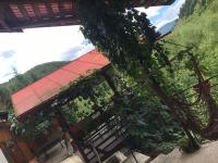 Casa Elena - B&B Voineșița