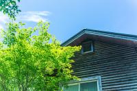 深山山荘 DENCHI - B&B Uchiko