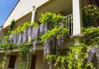 Pavillon de Diane, Le Malesherbois - Bed and Breakfast