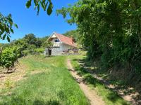 Vine Cottage - Bed and Breakfast