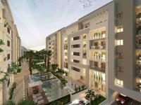 Charming 1-Bed Apartment in Tunis close to centre - B&B