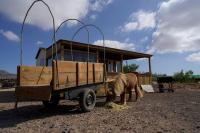 Sunny Tiny House with Sea view - B&B El Roque