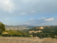 Casa vacanze fra gli ulivi - Bed and Breakfast