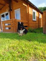 Agroturystyka Jeleń - Ferienwohnung Jeleń