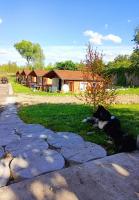 Agroturystyka Jeleń - Ferienwohnung Jeleń