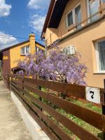 Budapest Airport-Vecsés Trainstation Apartman K7 - B&B