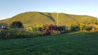 Our Mount Meron Orchard - your perfect getaway - B&B Tsiv‘on