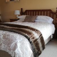 Deluxe Queen Suite