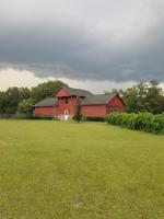 Hawks Nest Loft - B&B