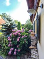 Suite avec Terrasse 