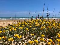 VASTO centro Alloggio 1-2-3 - B&B Vasto