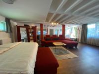 Haus Pia Executive Suites - Ferienwohnung Friedrichshafen