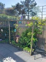 Dutch Line, De Schelp - B&B
