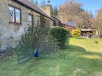 Lakewood Courtyard Northumberland - Bed and Breakfast