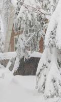 Modern Cabin Get Away - close to APPLE HILL - B&B