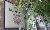 Thorpe Green House Vegetarian Bed & Breakfast - B&B