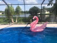 B&B New Port Richey - Private Tropical Waterfront Sanctuary w pool, hot tub & an island! Pet Friendly - Bed and Breakfast New Port Richey