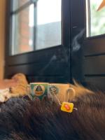 Sneska Jahorina - B&B Jahorina